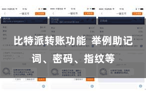 比特派转账功能 举例助记词、密码、指纹等