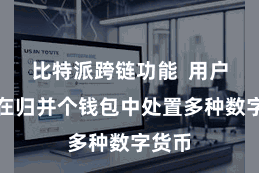 比特派跨链功能  用户不错在归并个钱包中处置多种数字货币