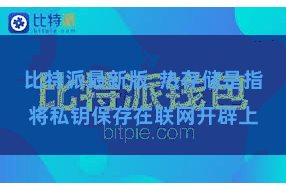 比特派最新版  热存储是指将私钥保存在联网开辟上